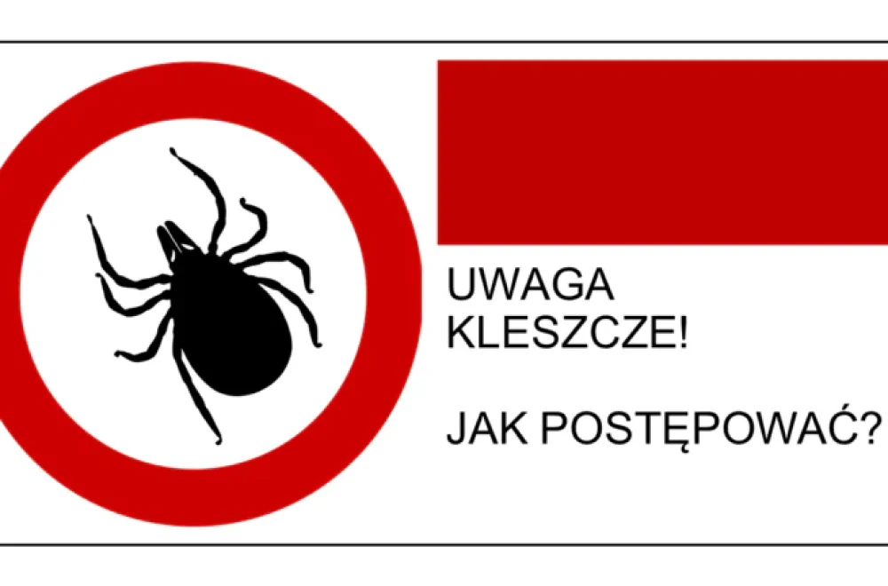 KLESZCZ_baner-768x432