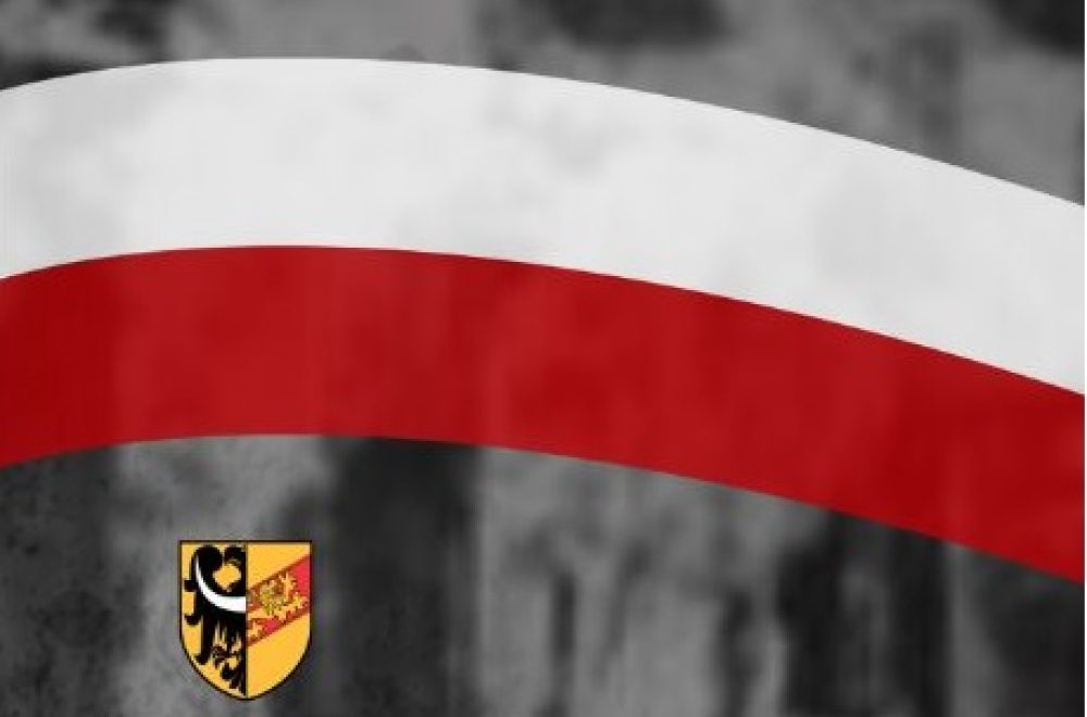 Mała ikona DWiMWP 2