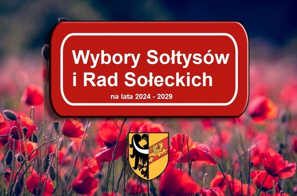 Wybory Sołtysów