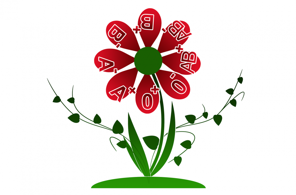 blood-donation-g4622b5516_1920