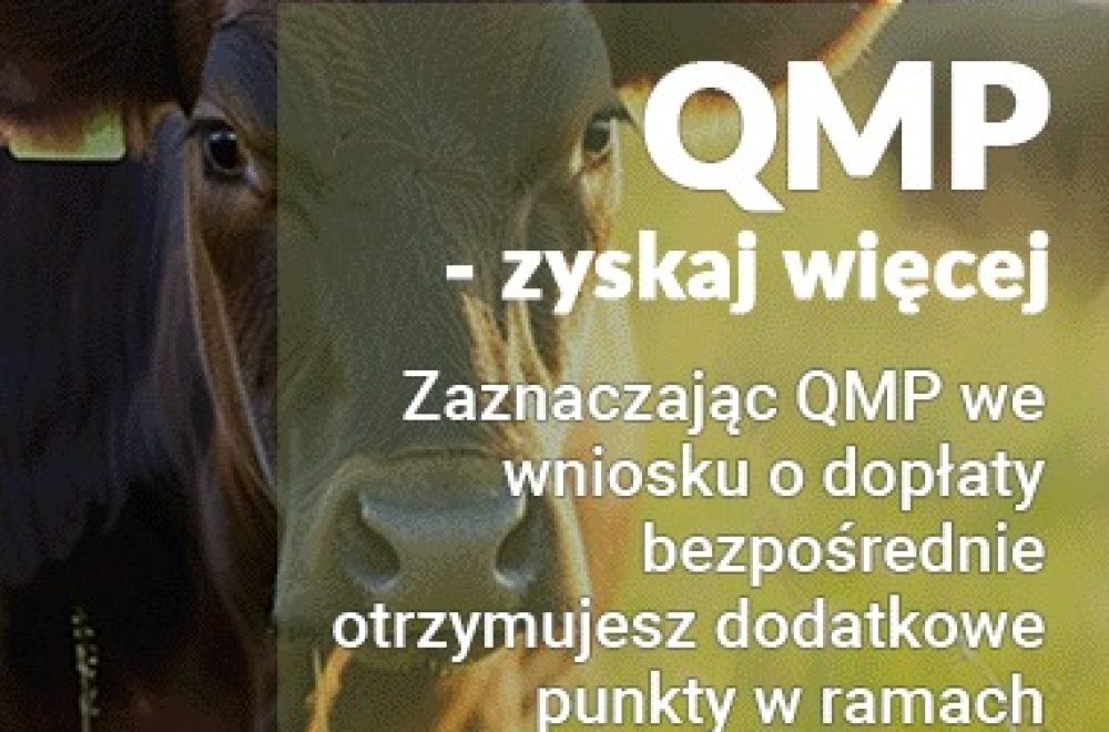 bydło