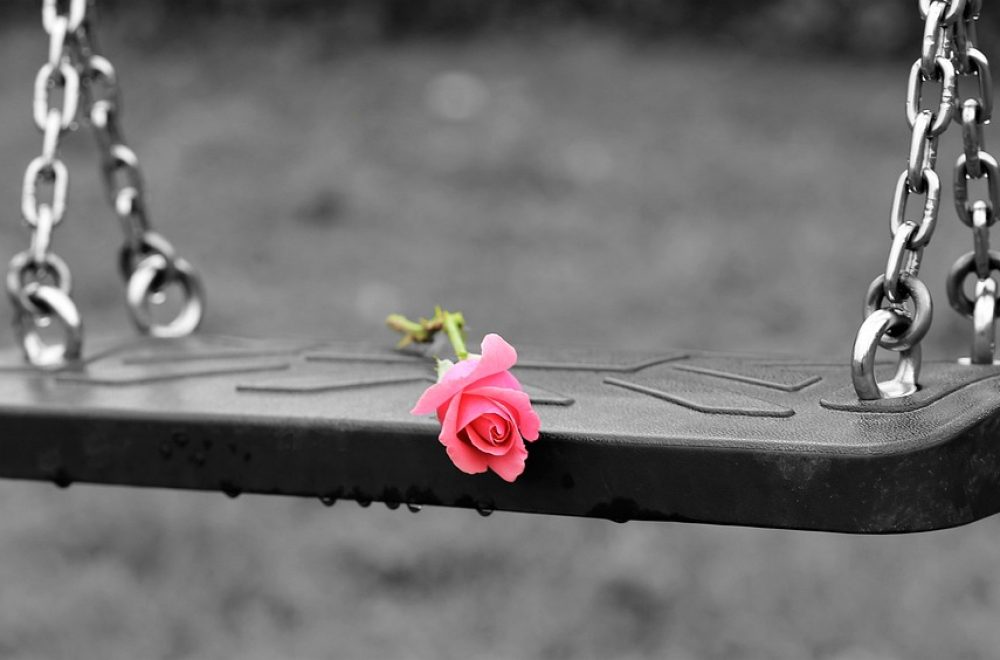 pink-rose-3656894_960_720